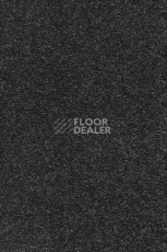 Ковролин AW Vivendi Punch 98 фото 1 | FLOORDEALER